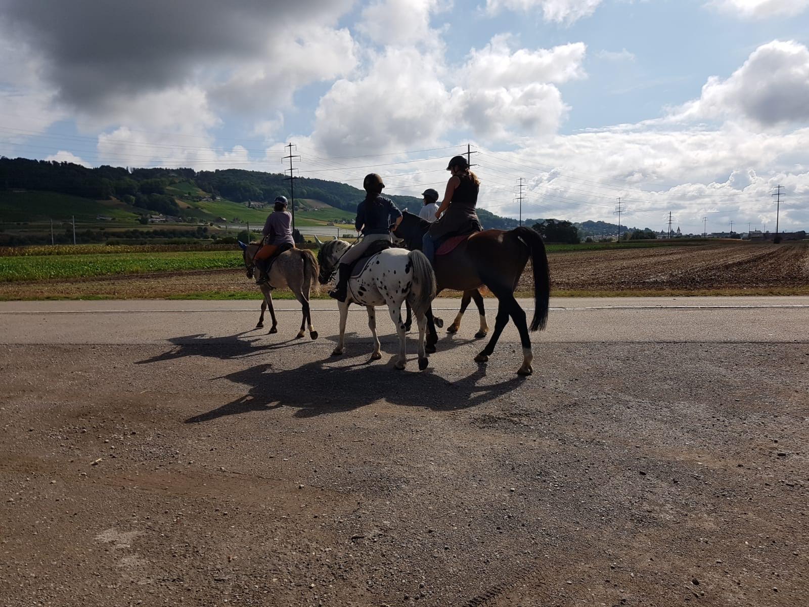 Blue Diamond Ranch d Riitschuel im Herze vom Thurgau